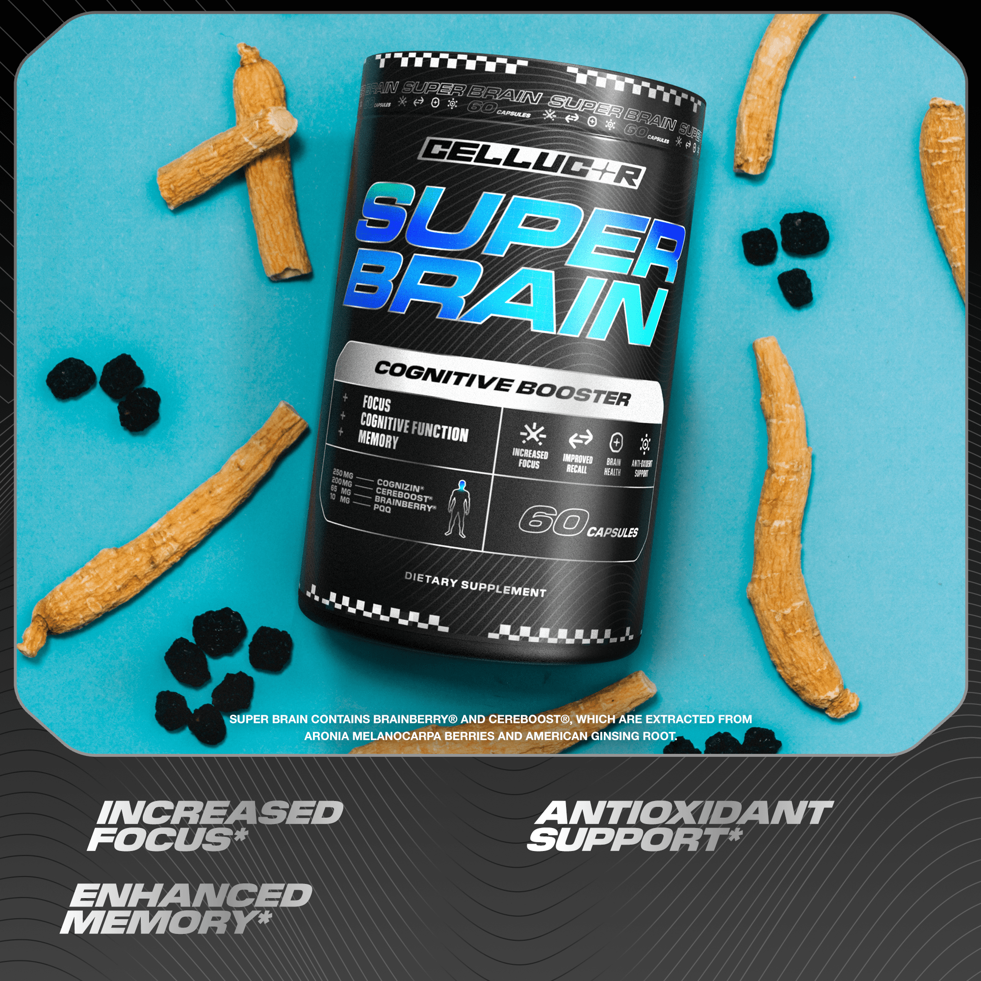 The Cognitive Boost Bundle