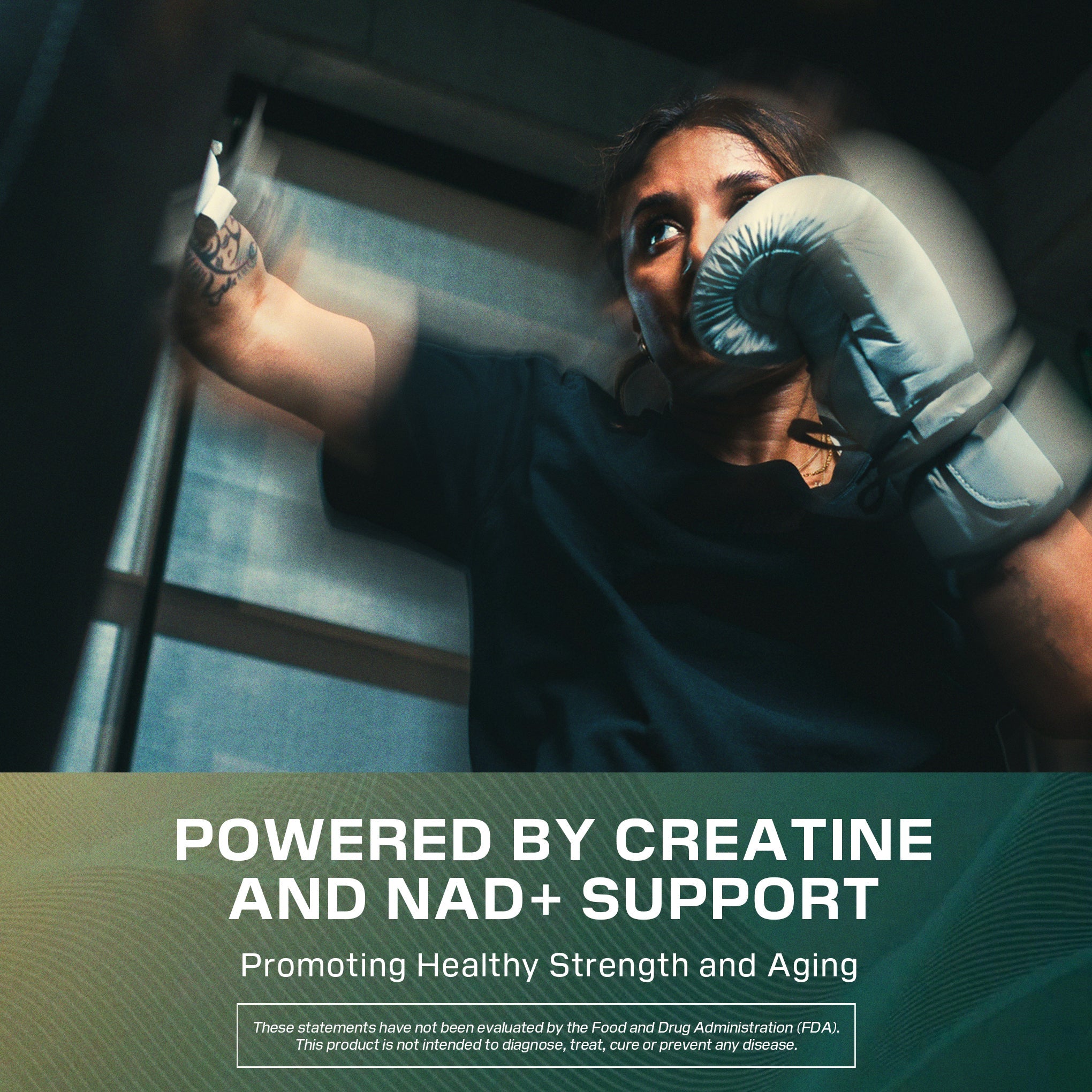 Cellucor® Longevity Creatine Powder with NAD+